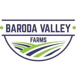 baroda